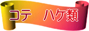 ���ā@�͂���